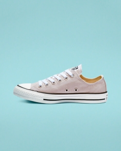 Converse Chuck Taylor All Star Seasonal Color Női Rövidszárú Lila/Szürke | BOSVCMT-HU